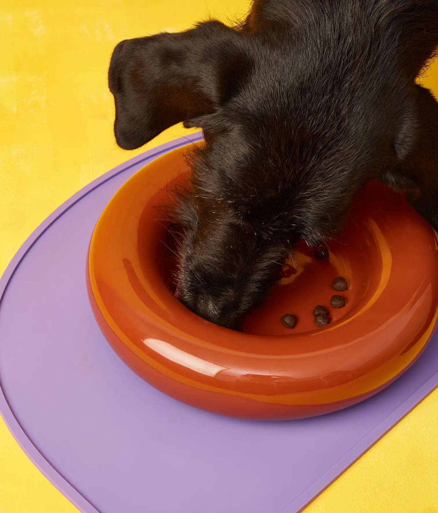 Mangiatoia in ceramica gialla per cane: Amarillo / Pequeño