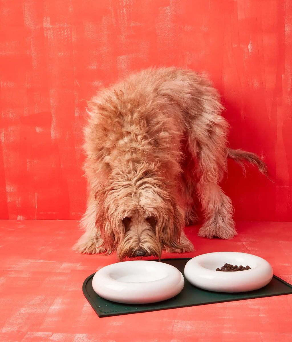Mangiatoia in ceramica gialla per cane: Rosa / Pequeño