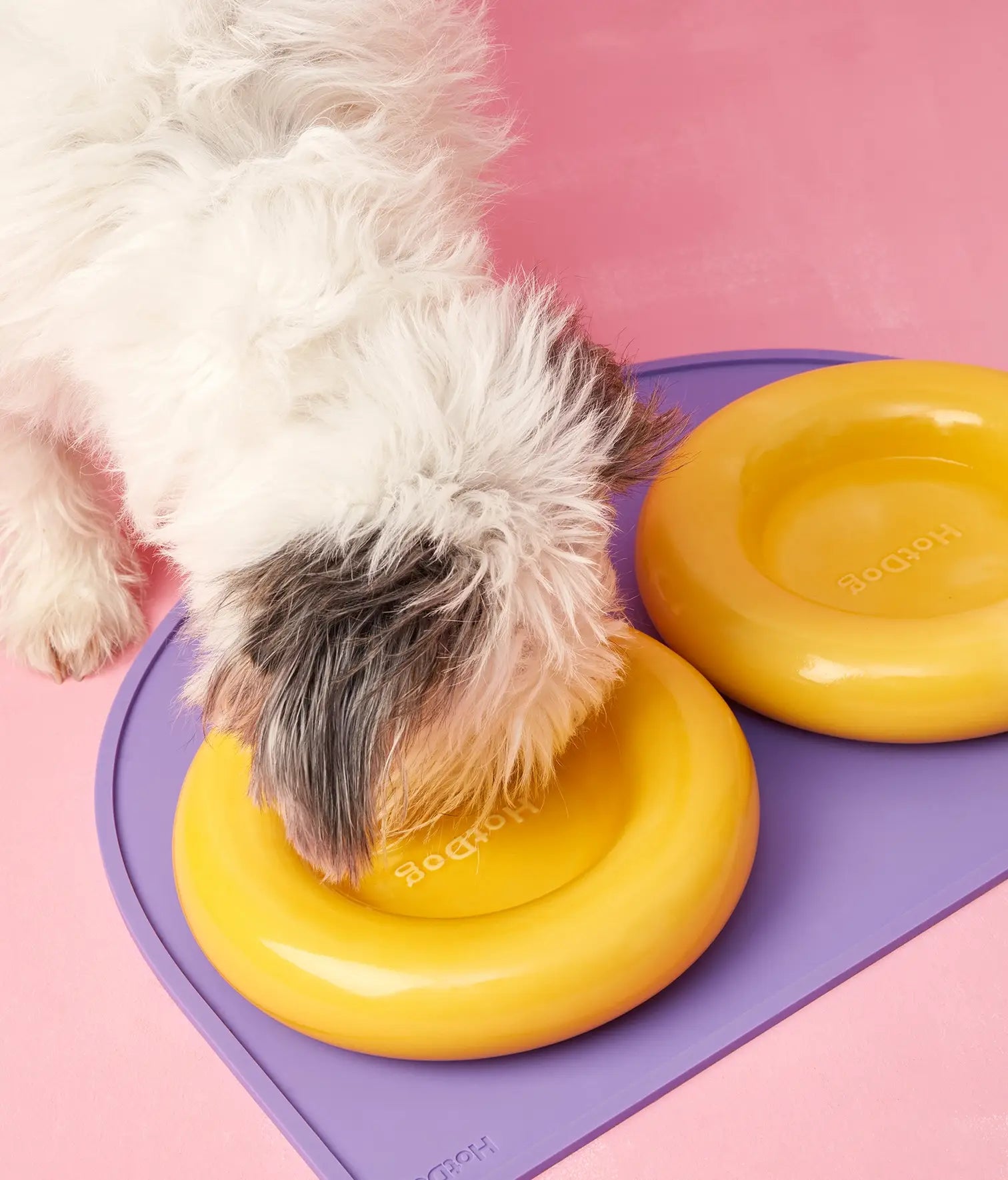 Mangiatoia in ceramica gialla per cane: Rosa / Pequeño