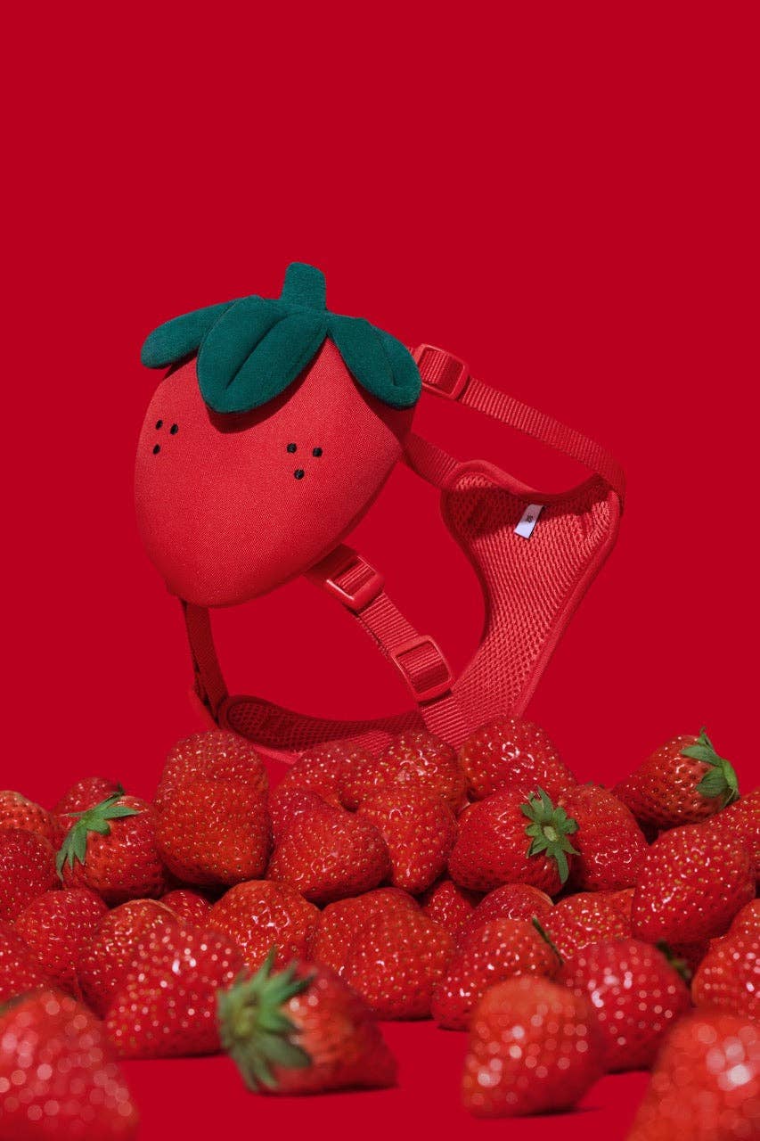 VETRESKA Zainetto Fragola per Animali, set pettorina e guinzaglio: Small