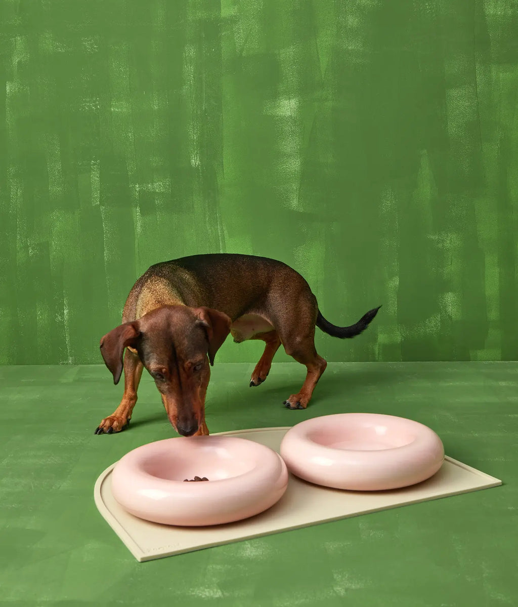 Mangiatoia in ceramica gialla per cane: Amarillo / Pequeño