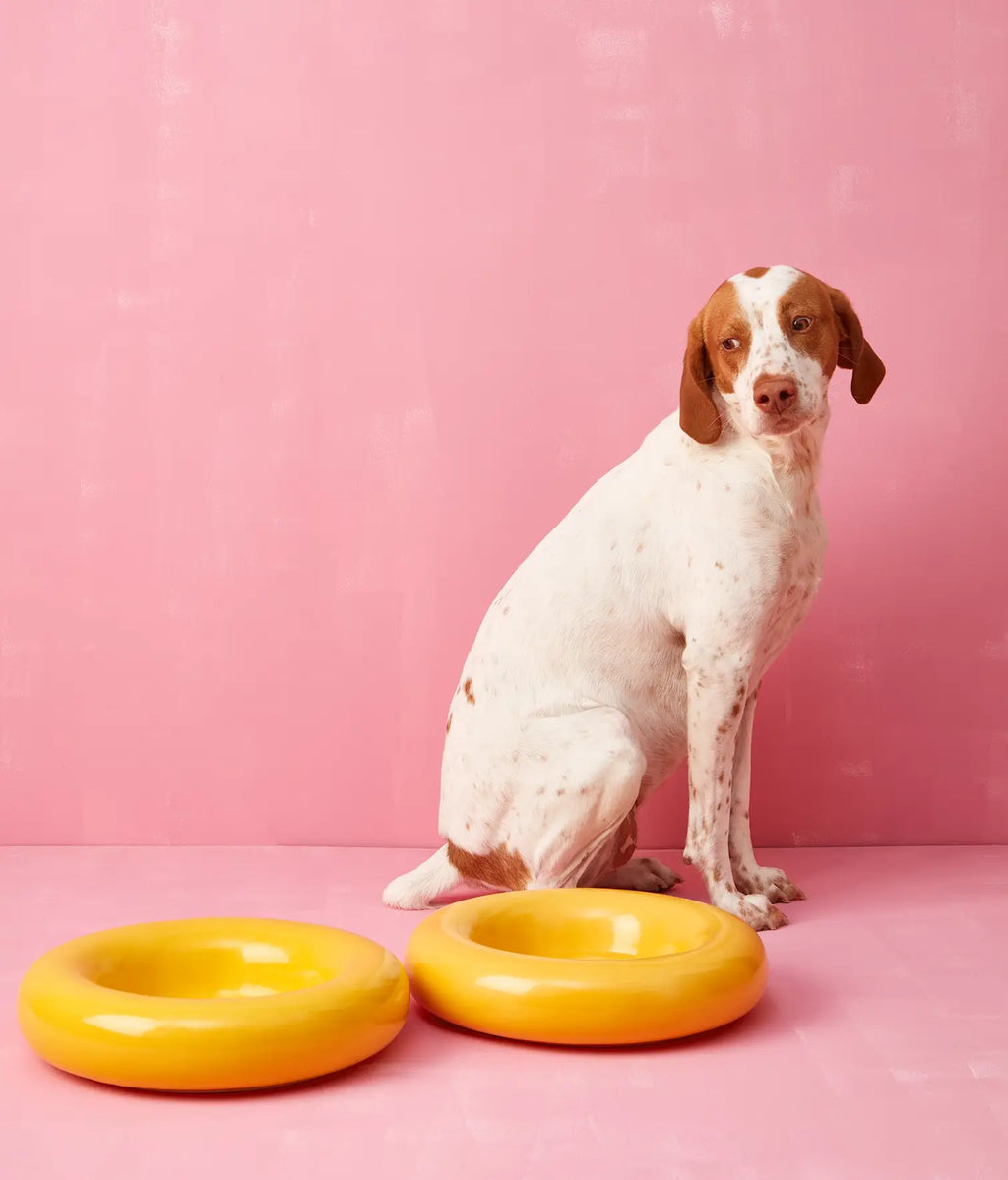 Mangiatoia in ceramica gialla per cane: Rosa / Pequeño