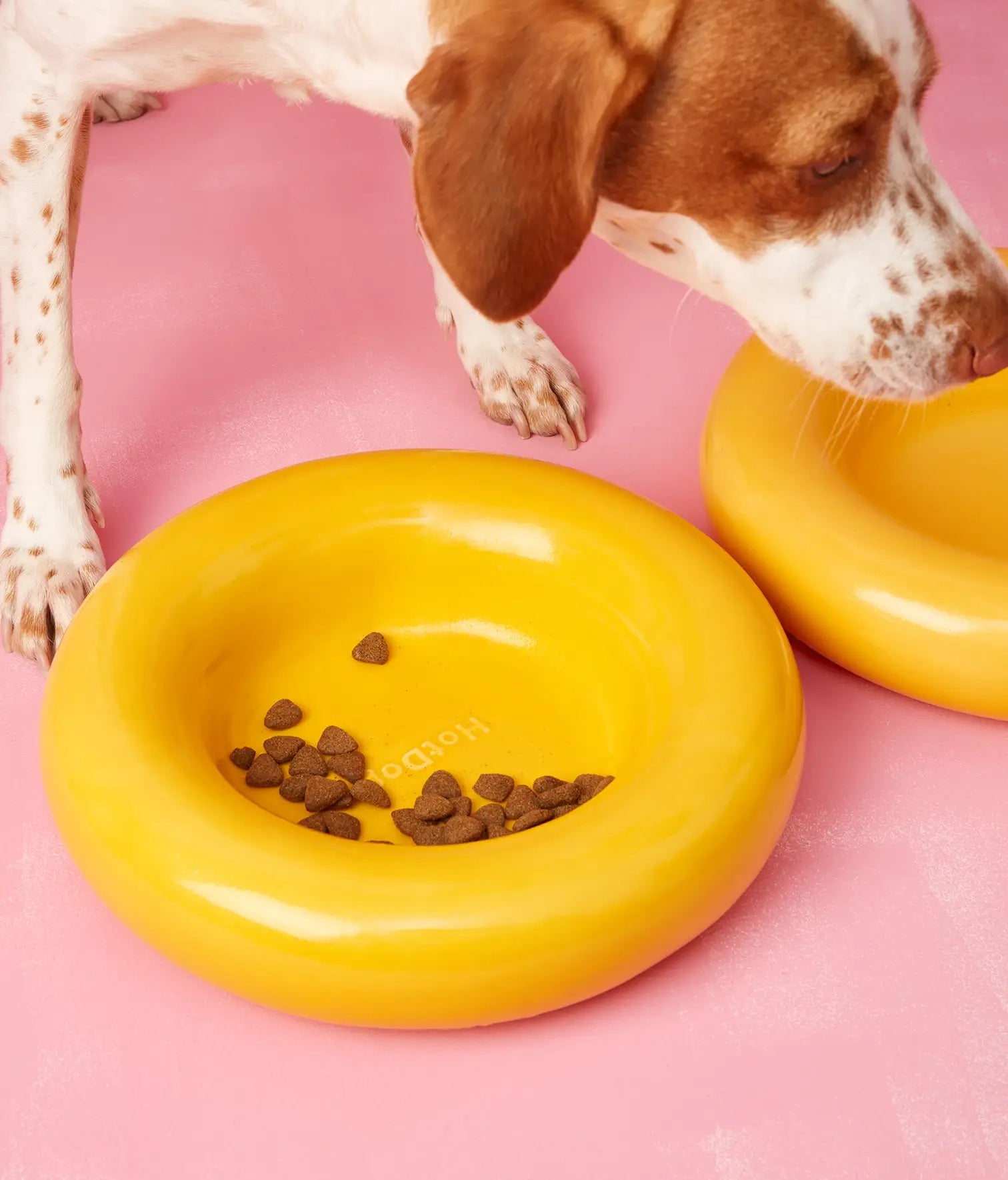 Mangiatoia in ceramica gialla per cane: Amarillo / Pequeño