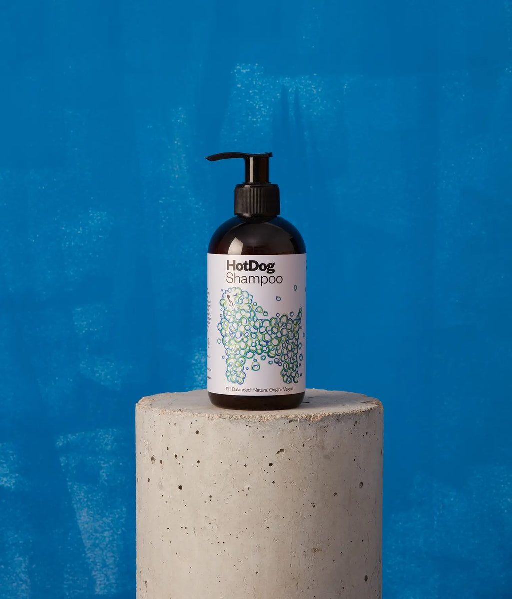 Shampoo vegano per cani