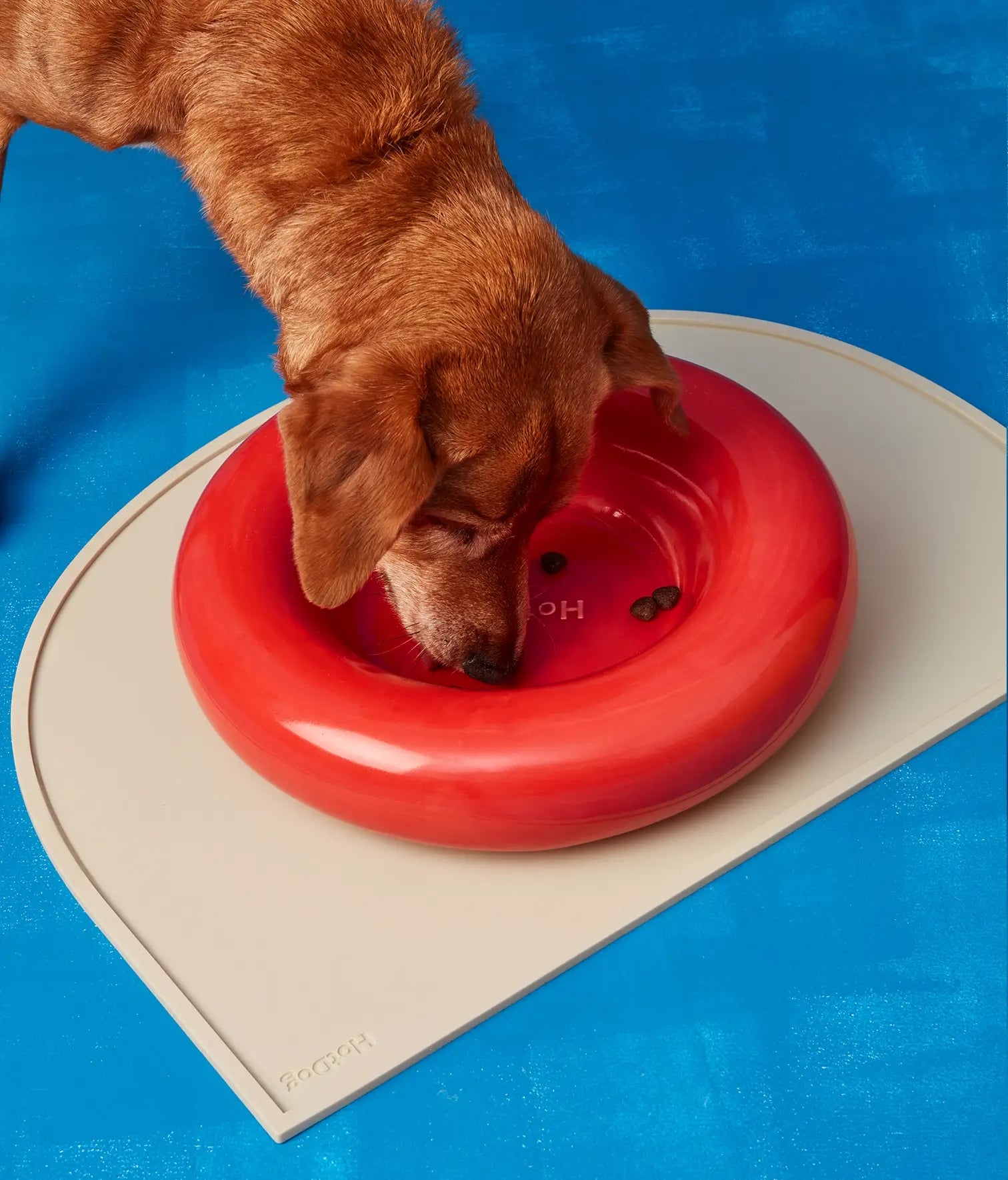 Mangiatoia in ceramica gialla per cane: Rosa / Pequeño