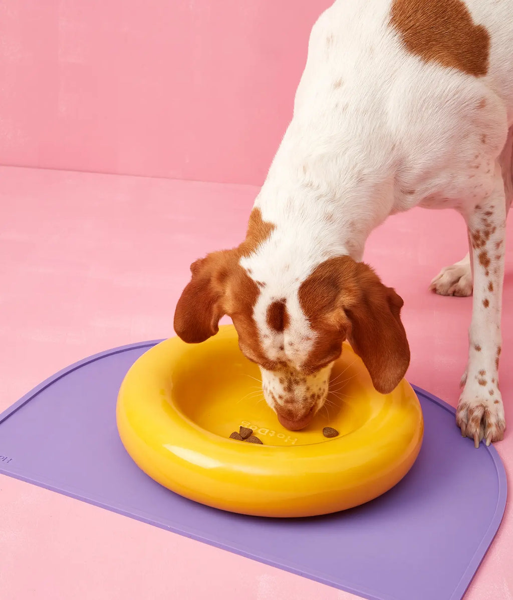 Mangiatoia in ceramica gialla per cane: Amarillo / Pequeño