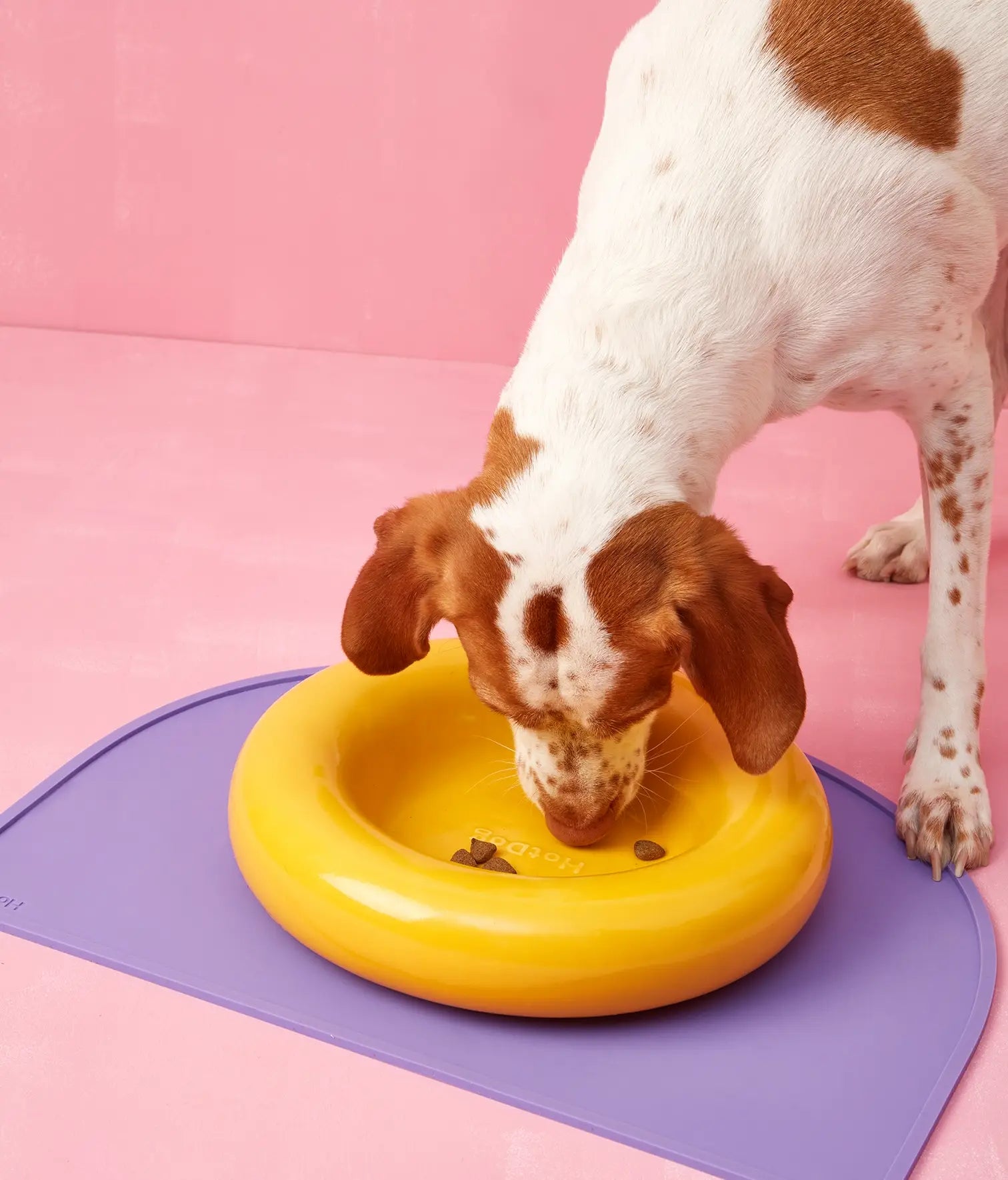 Mangiatoia in ceramica gialla per cane: Amarillo / Pequeño