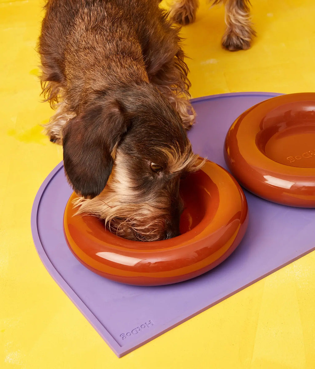 Mangiatoia in ceramica gialla per cane: Amarillo / Pequeño