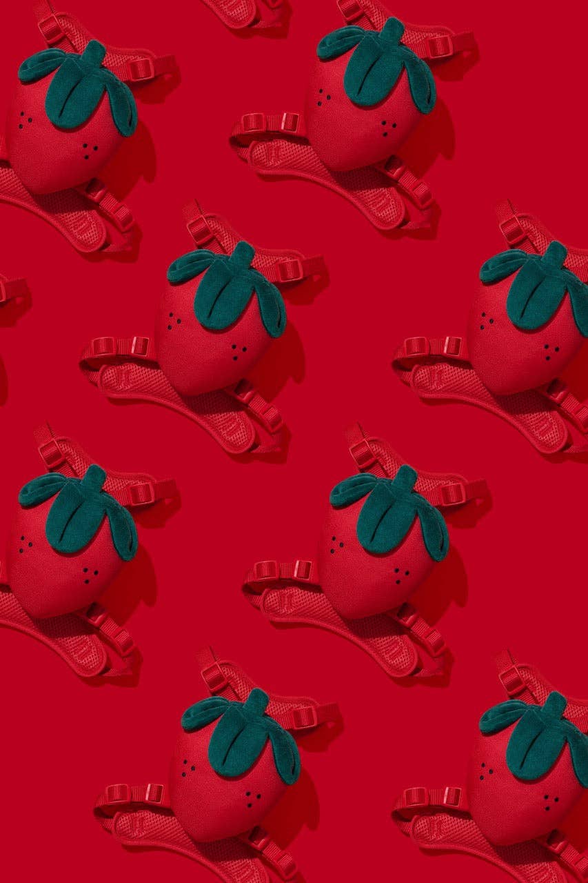 VETRESKA Zainetto Fragola per Animali, set pettorina e guinzaglio: Small