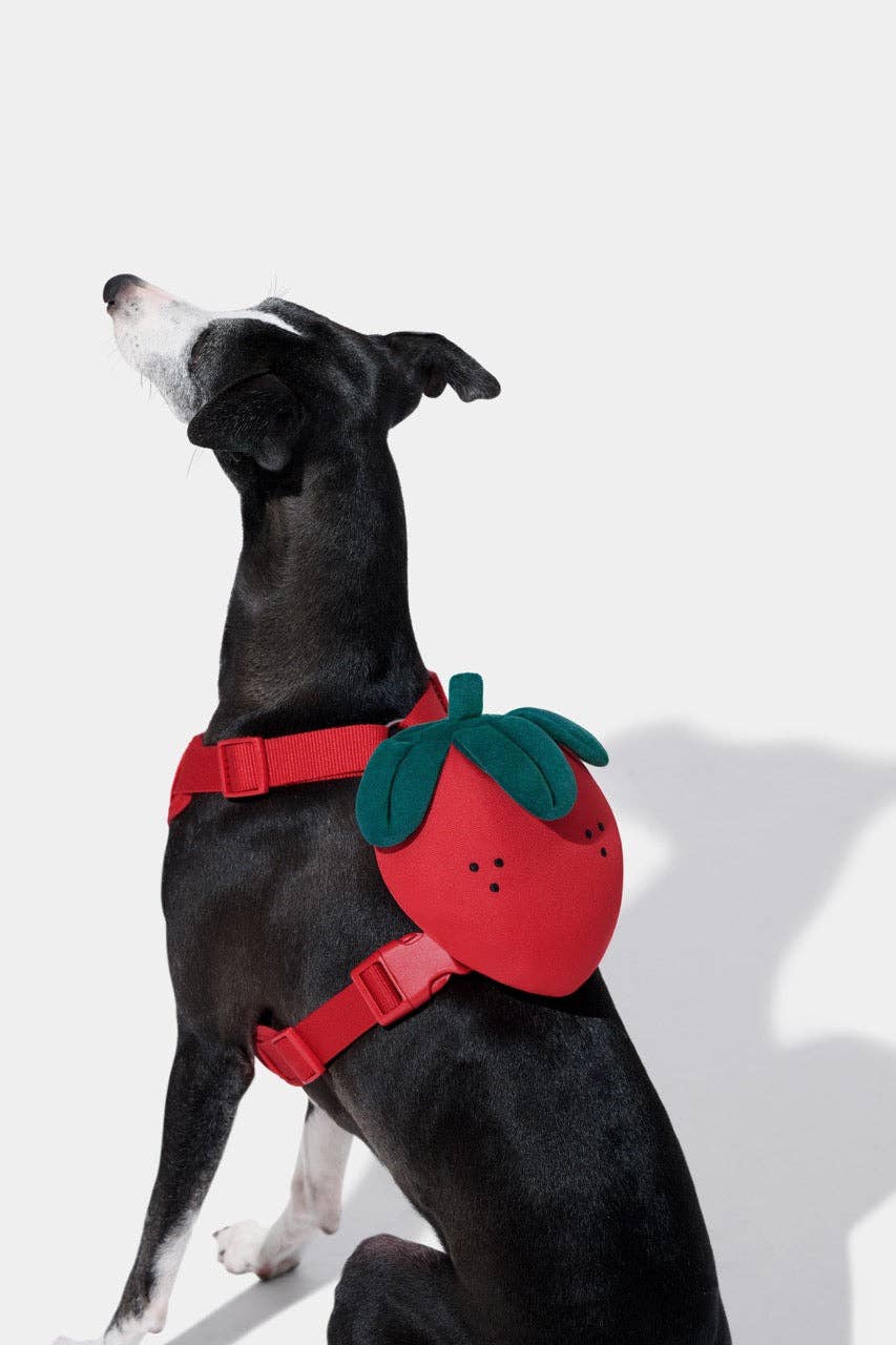 VETRESKA Zainetto Fragola per Animali, set pettorina e guinzaglio: Small