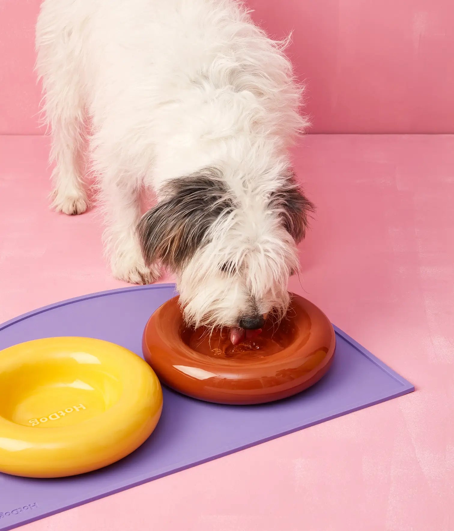 Mangiatoia in ceramica gialla per cane: Amarillo / Pequeño