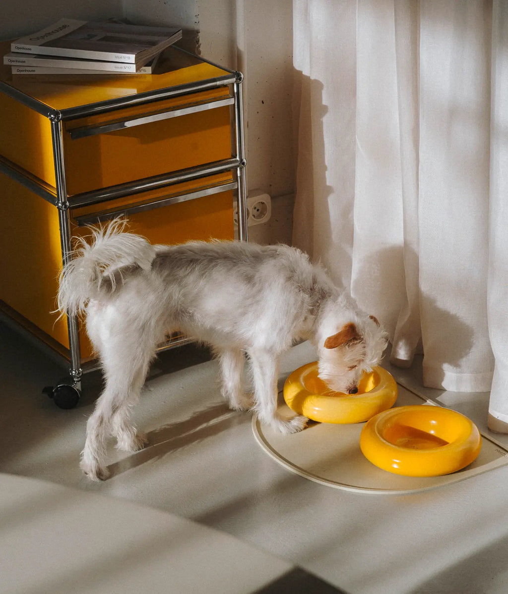 Mangiatoia in ceramica gialla per cane: Amarillo / Pequeño