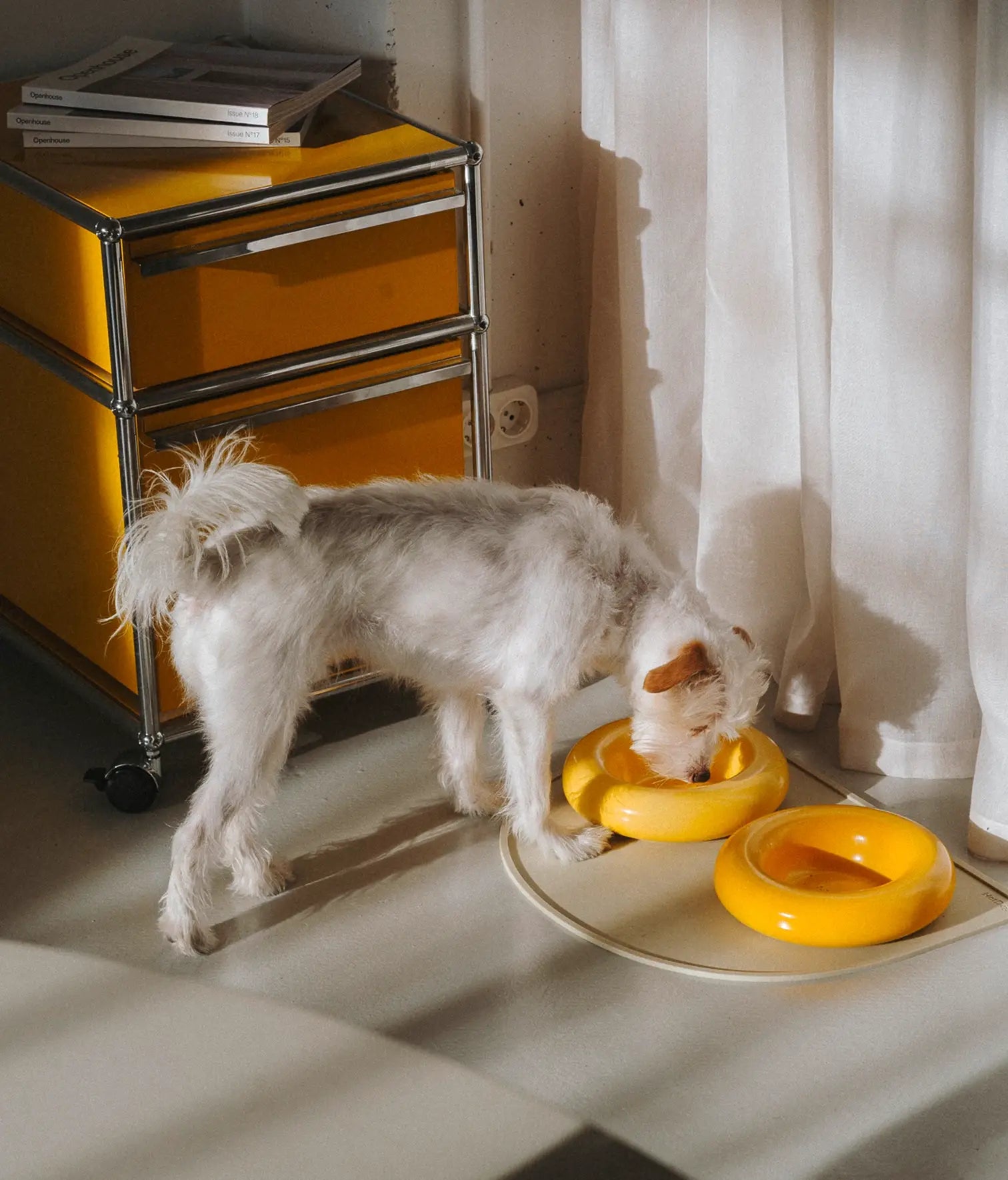 Mangiatoia in ceramica gialla per cane: Amarillo / Pequeño