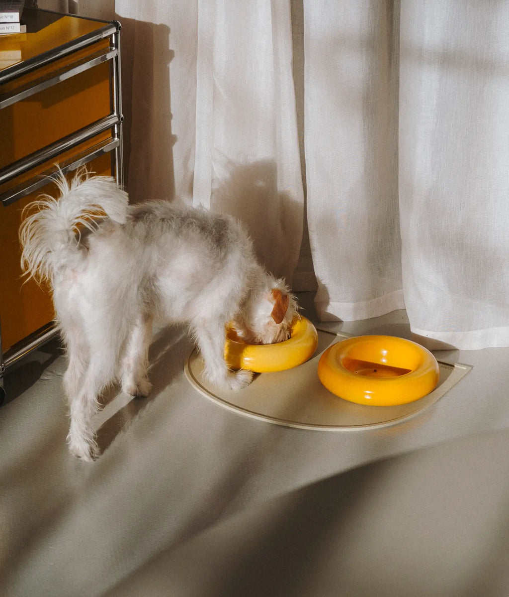 Mangiatoia in ceramica gialla per cane: Rosa / Pequeño