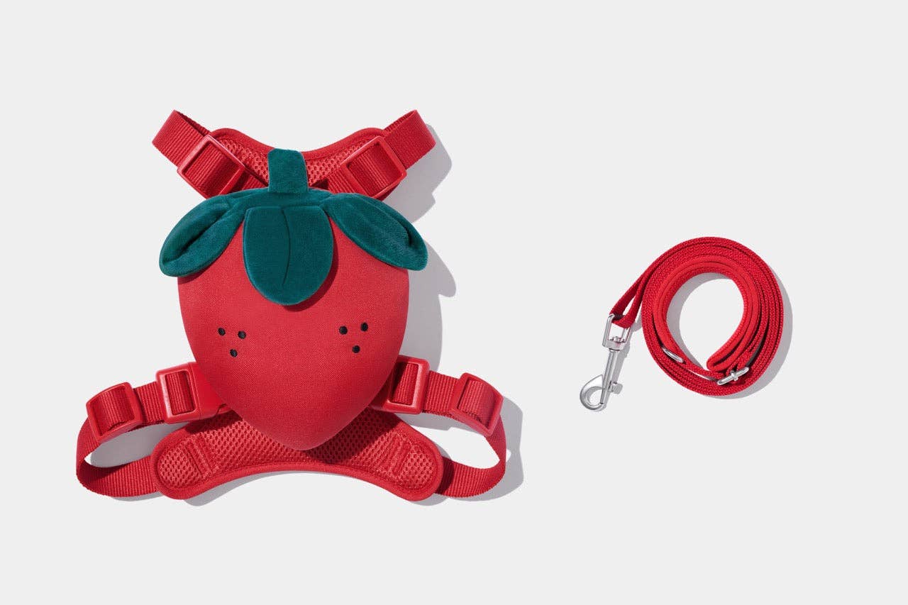 VETRESKA Zainetto Fragola per Animali, set pettorina e guinzaglio: Small