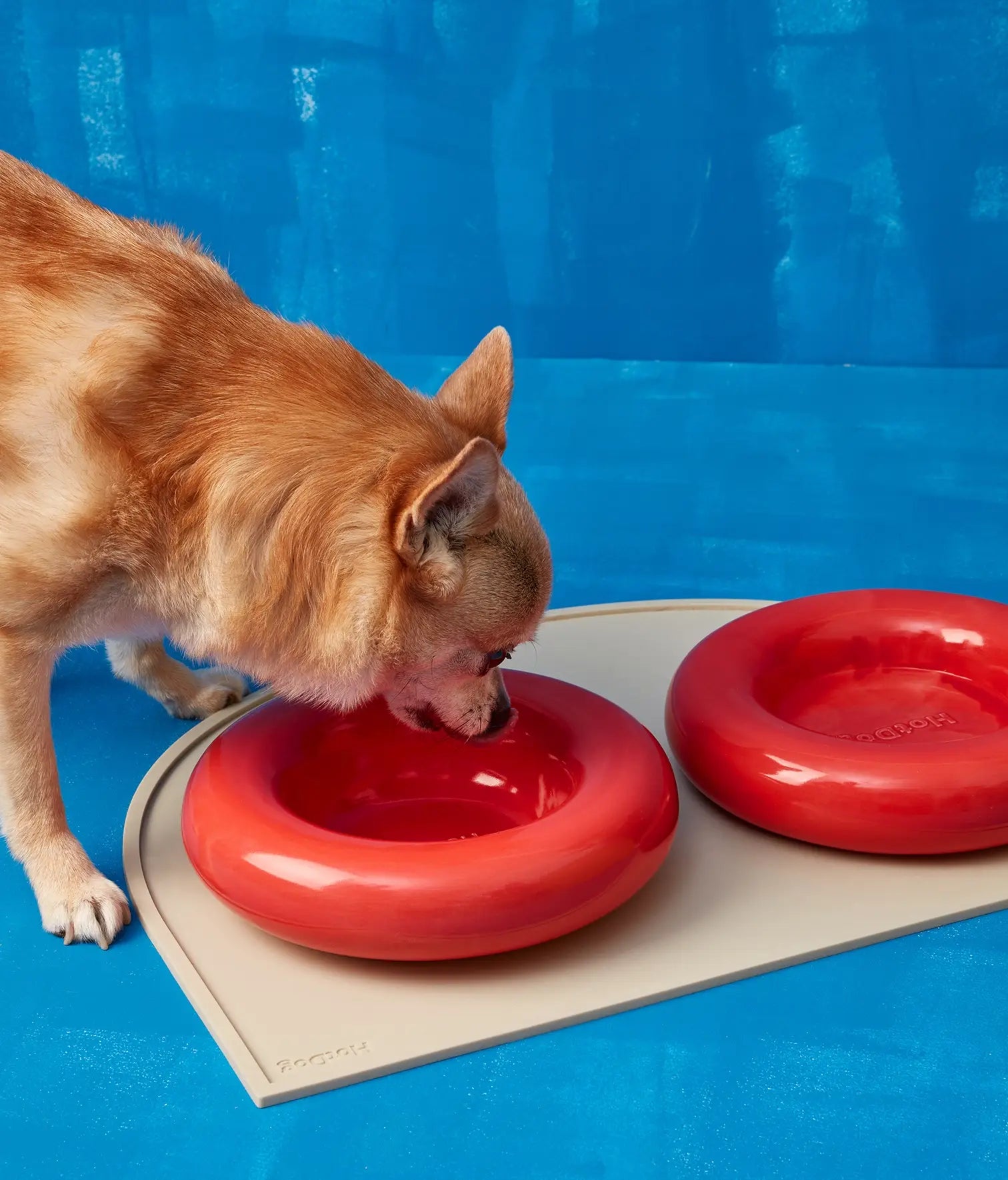 Mangiatoia in ceramica gialla per cane: Amarillo / Pequeño