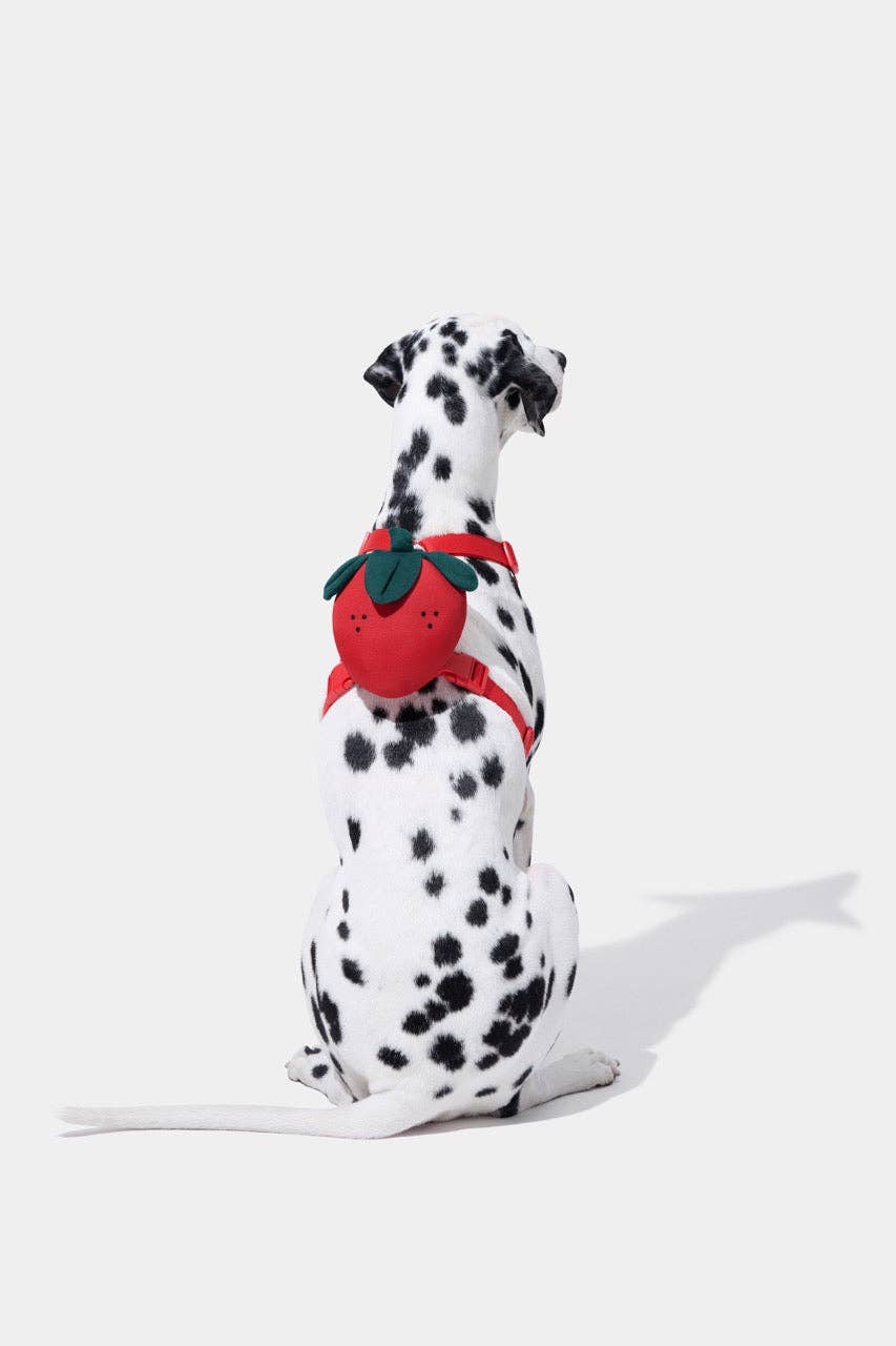 VETRESKA Zainetto Fragola per Animali, set pettorina e guinzaglio: Small